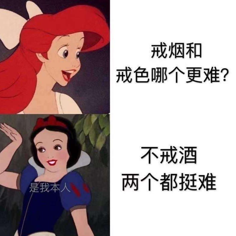 是小兔子呀