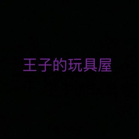 王子的玩具屋