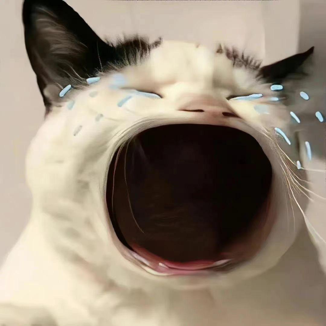 半半