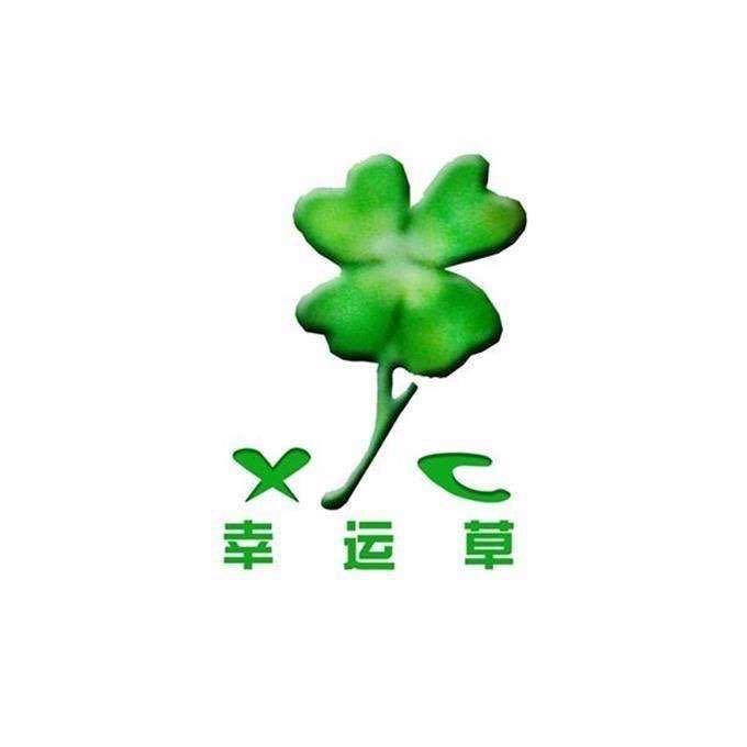 张艳辉