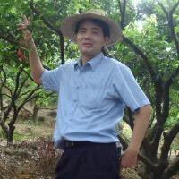 光电磁