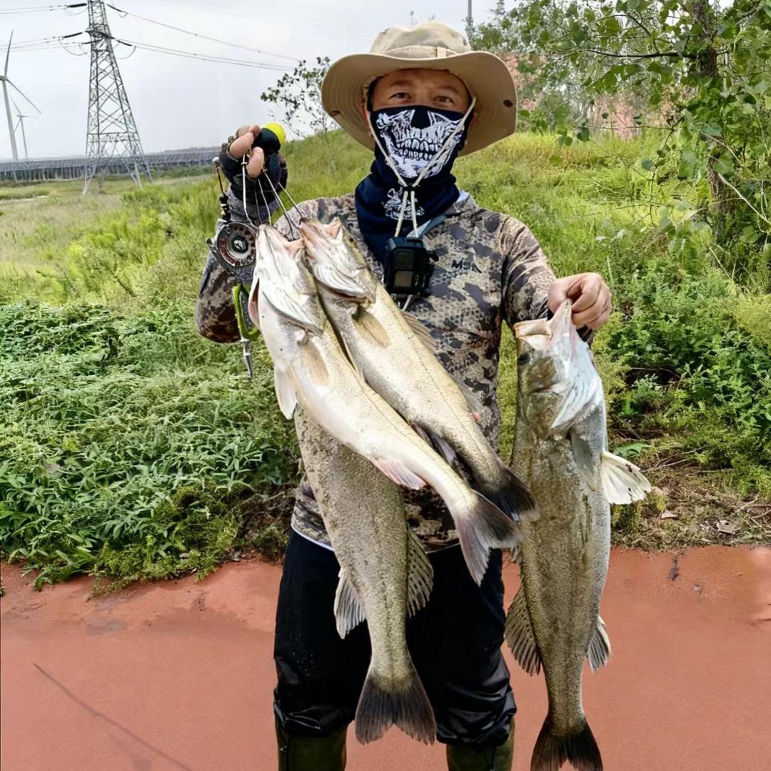 小鱼、也是娱🎣