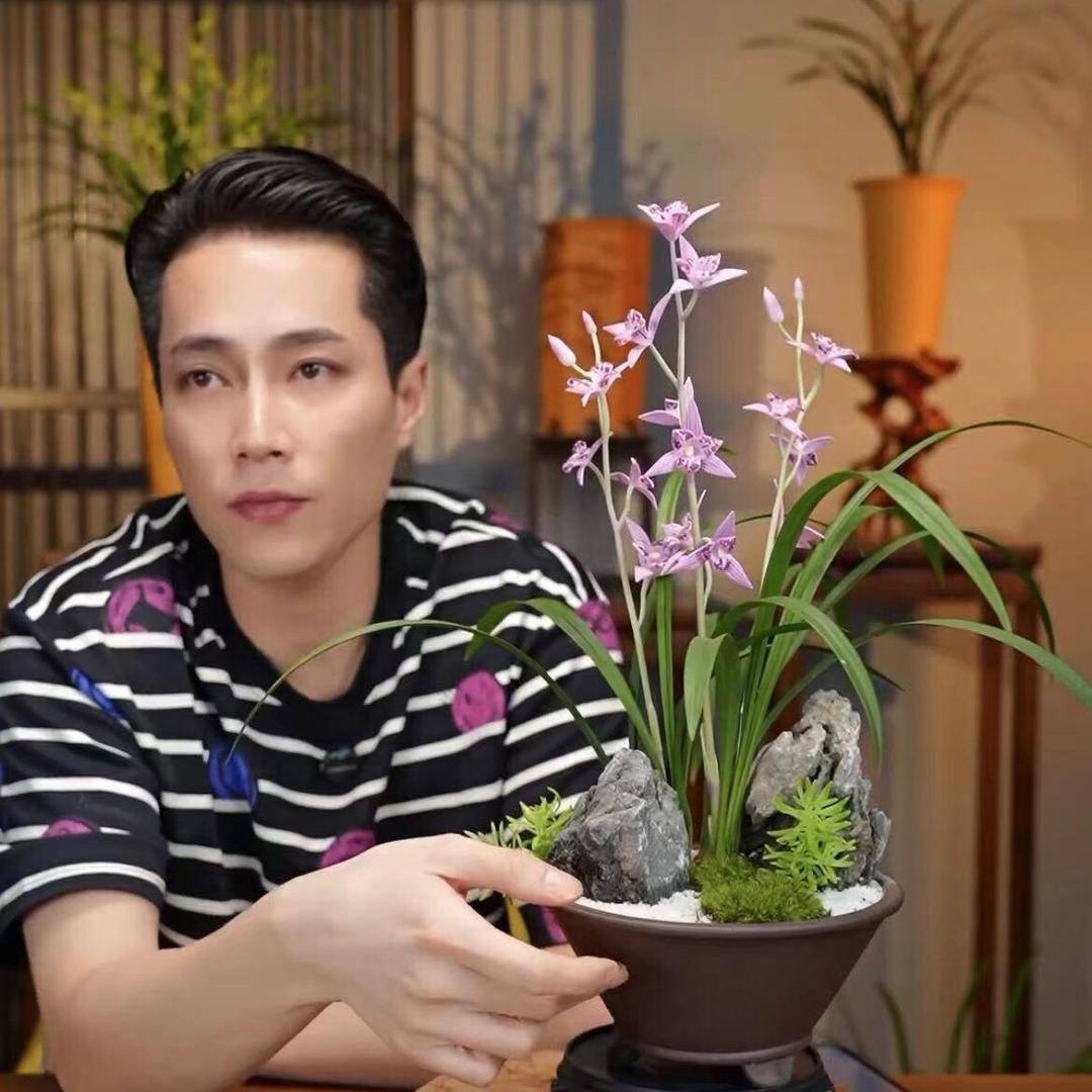 泓泰花汇
