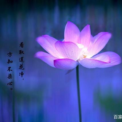 普宁说梵语
