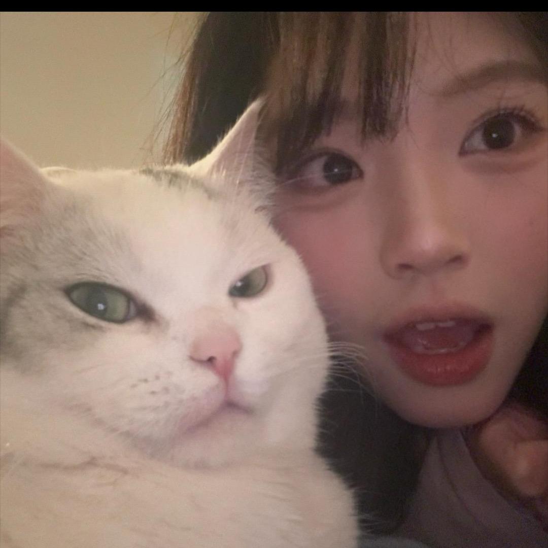 熬夜看🐟