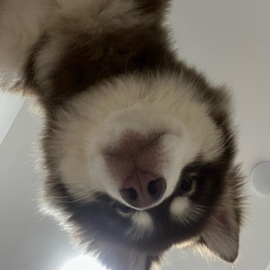 我叫多乐