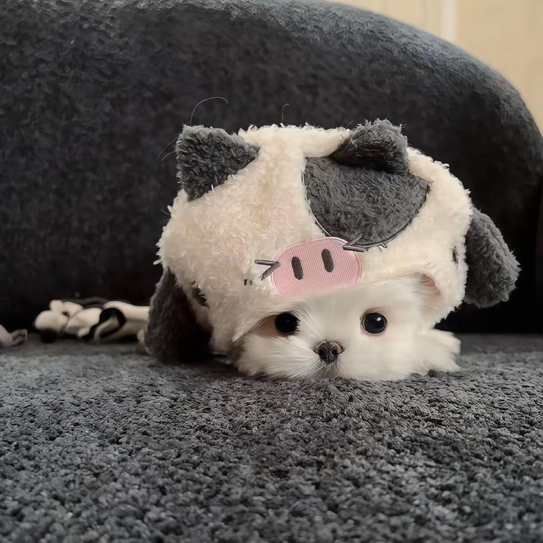 坏女人