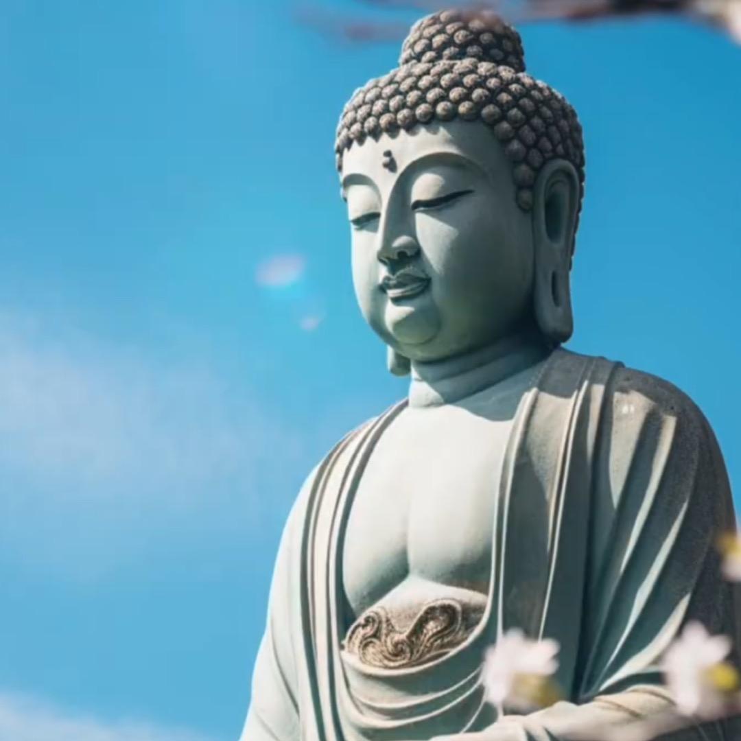 福缘居士