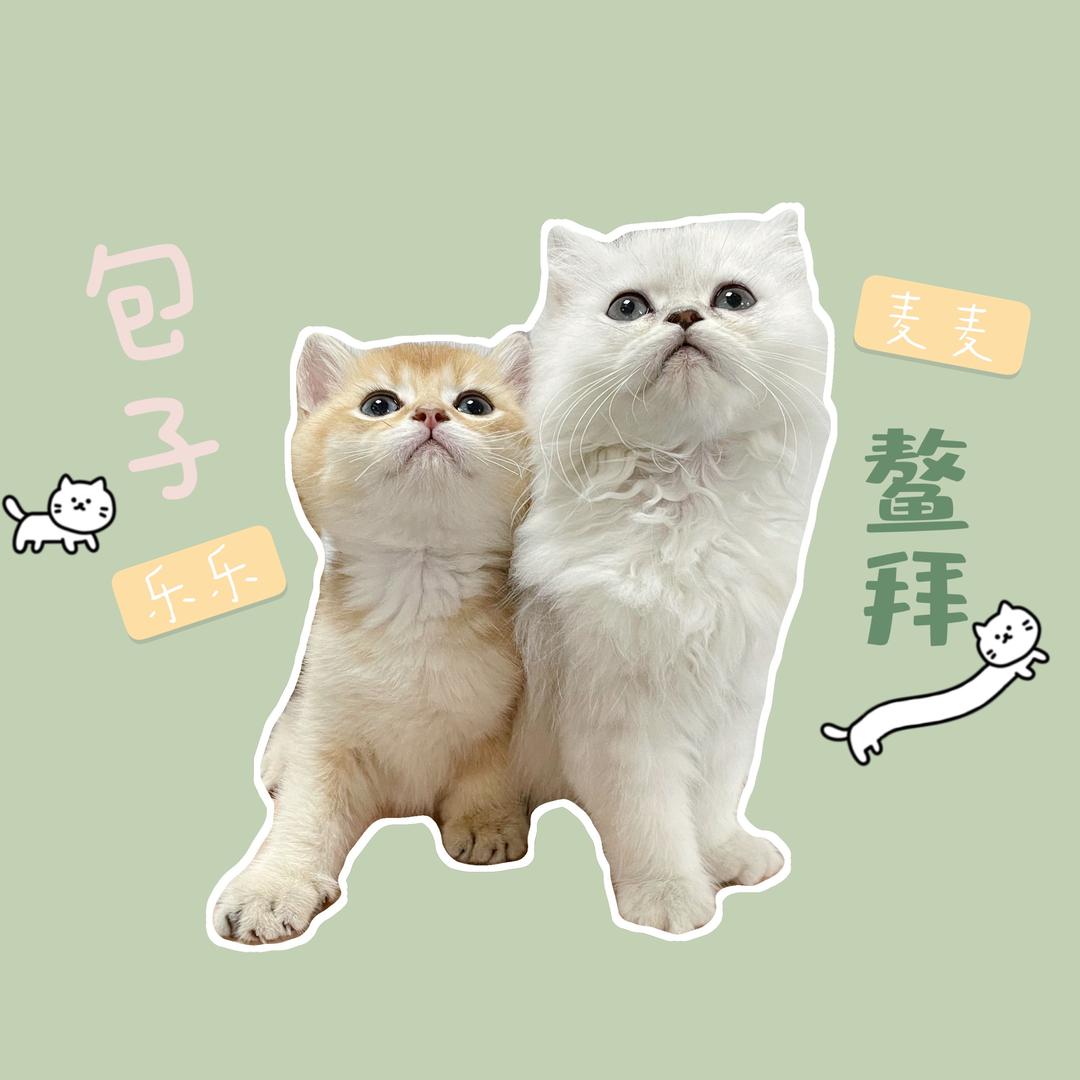 鳌拜大哥和包子小弟