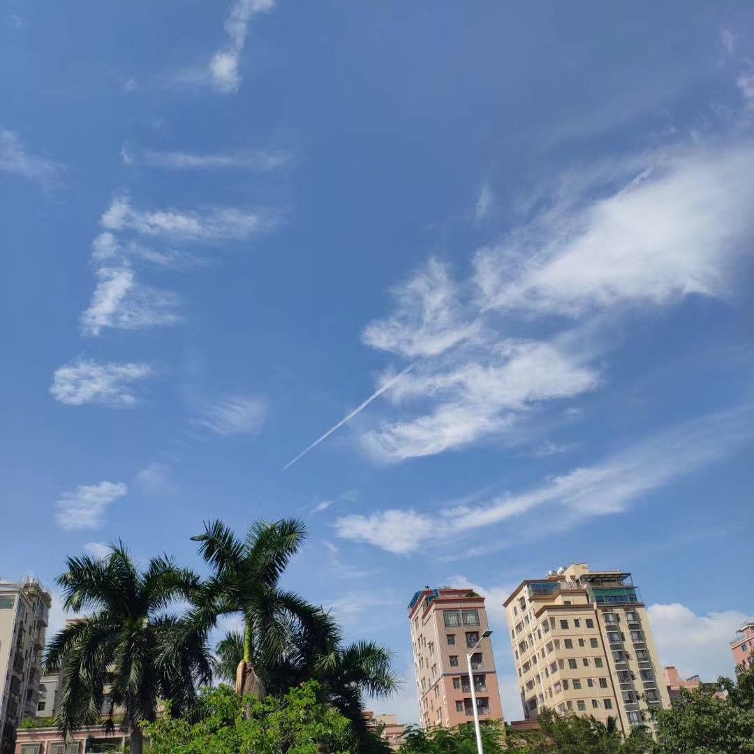 清城