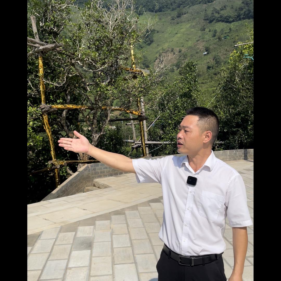 勐库十六村茶叶总汇