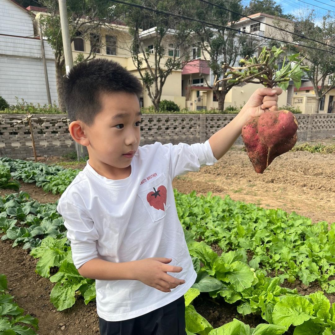 尹宝小小