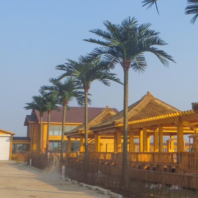 东方乐园仿真植物景观