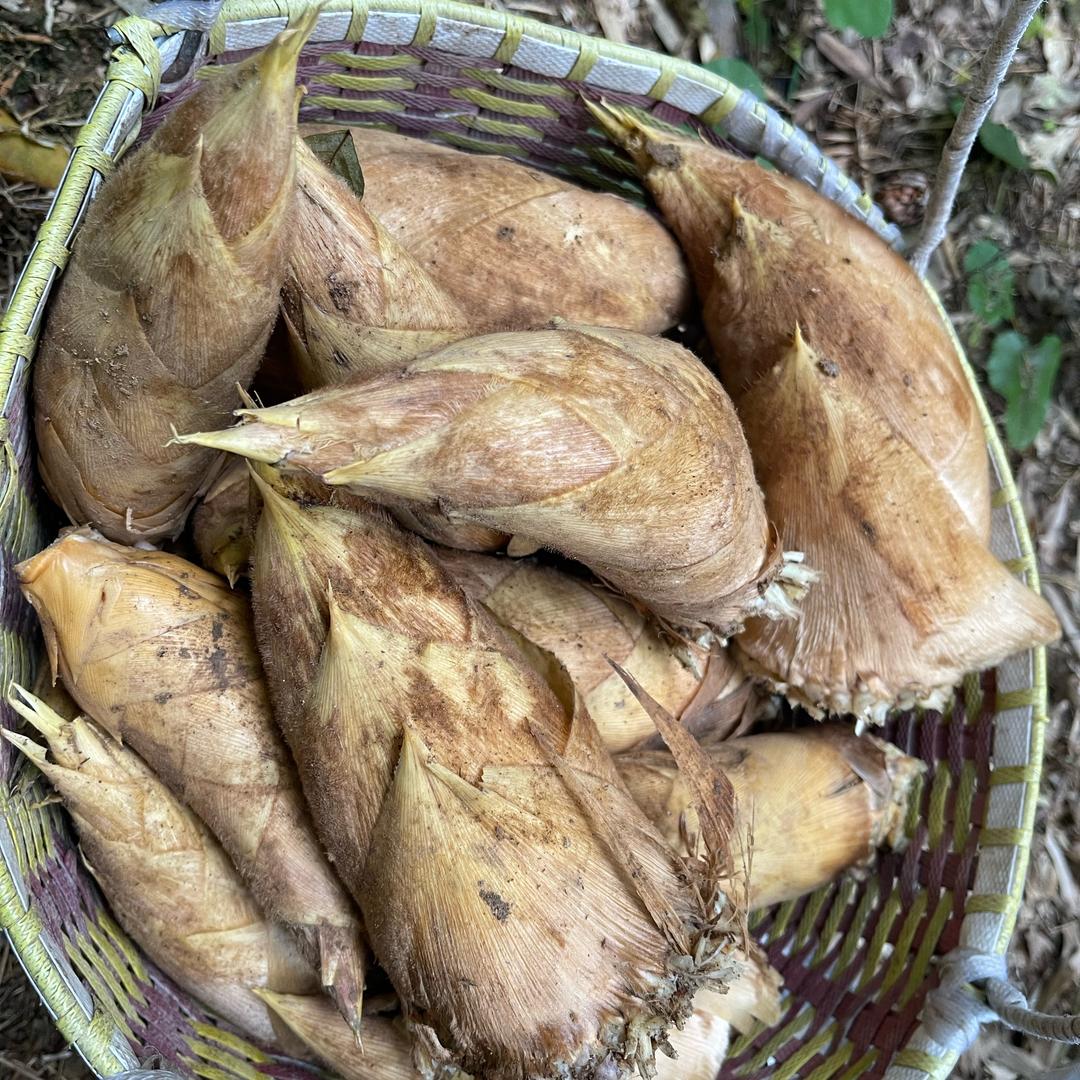 小灯泡