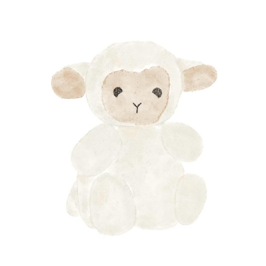 -🐑-
