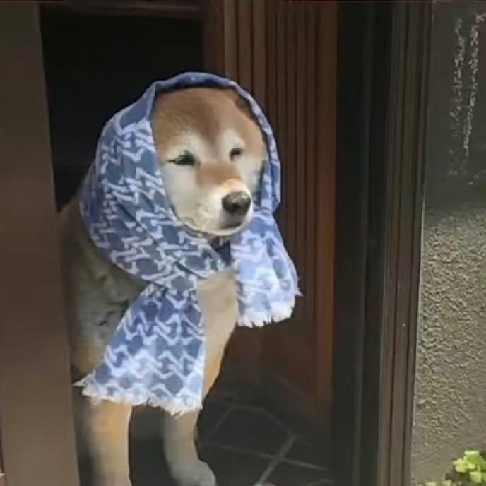 十七
