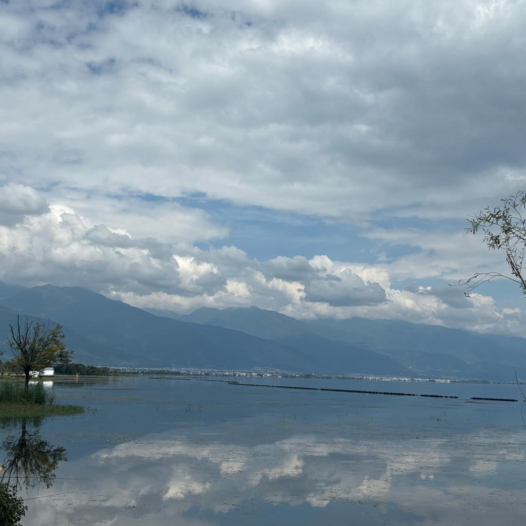 金莲品质生活坊