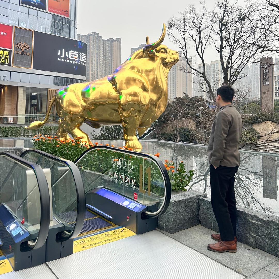 在努力的醉酒先生