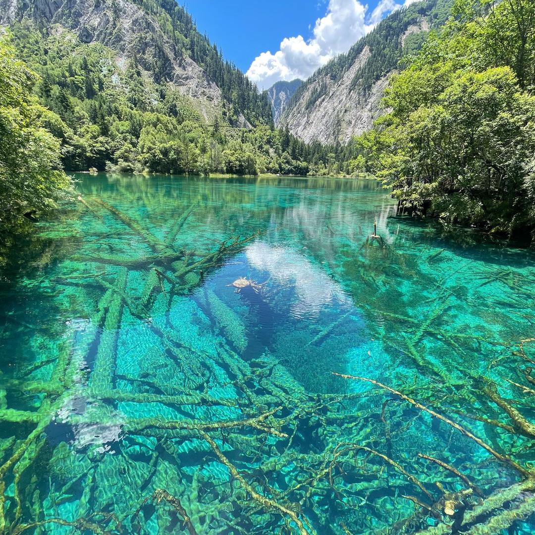 有趣的灵魂去哪儿