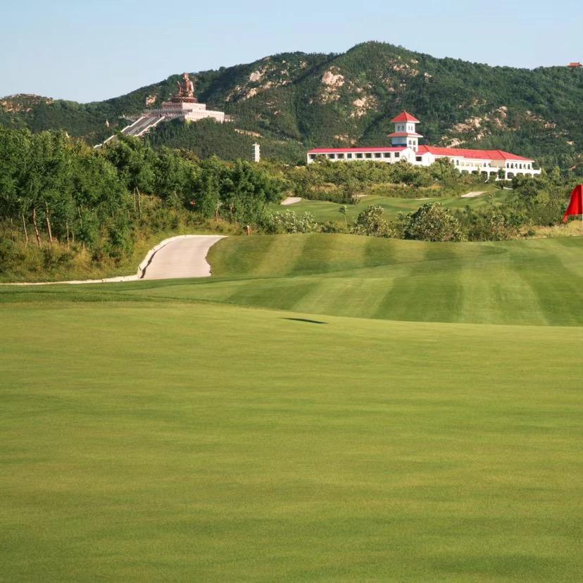 山东高尔夫