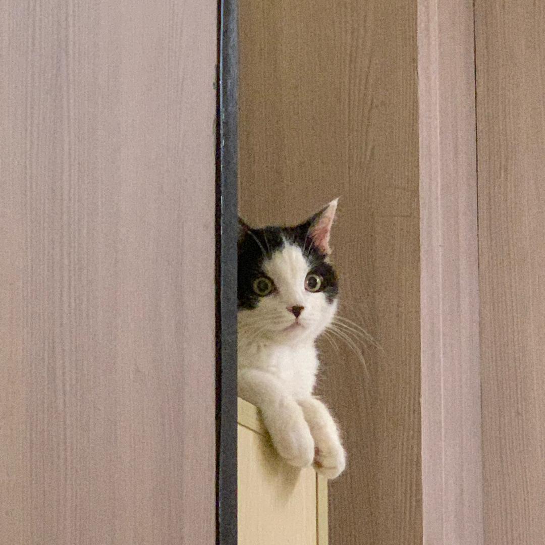 琪殷室内设计室