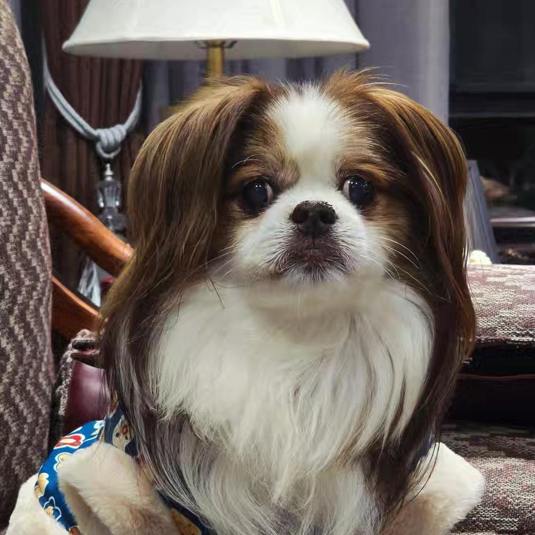 神探联盟么么哒