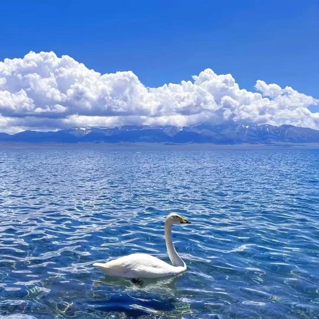 一个在新疆管拍照的