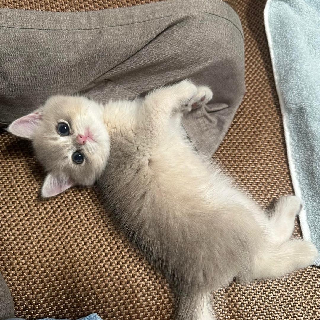 郑郑💤