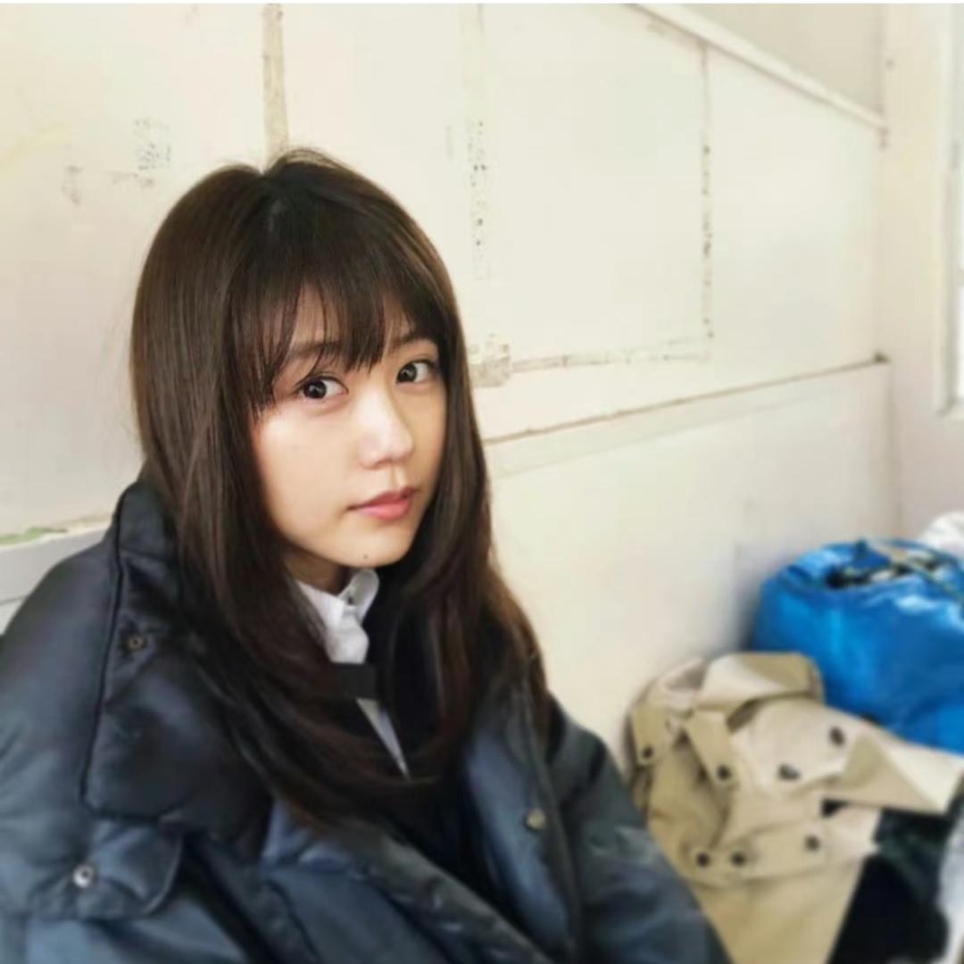 小企鹅狗