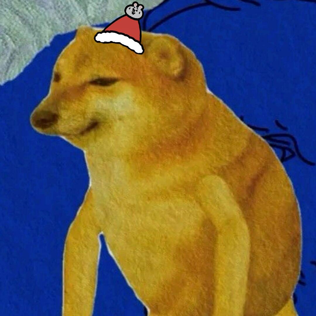 626🎄（圣诞求关注版）