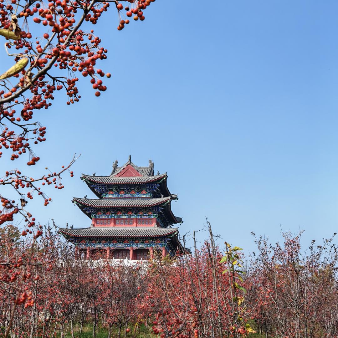 语清