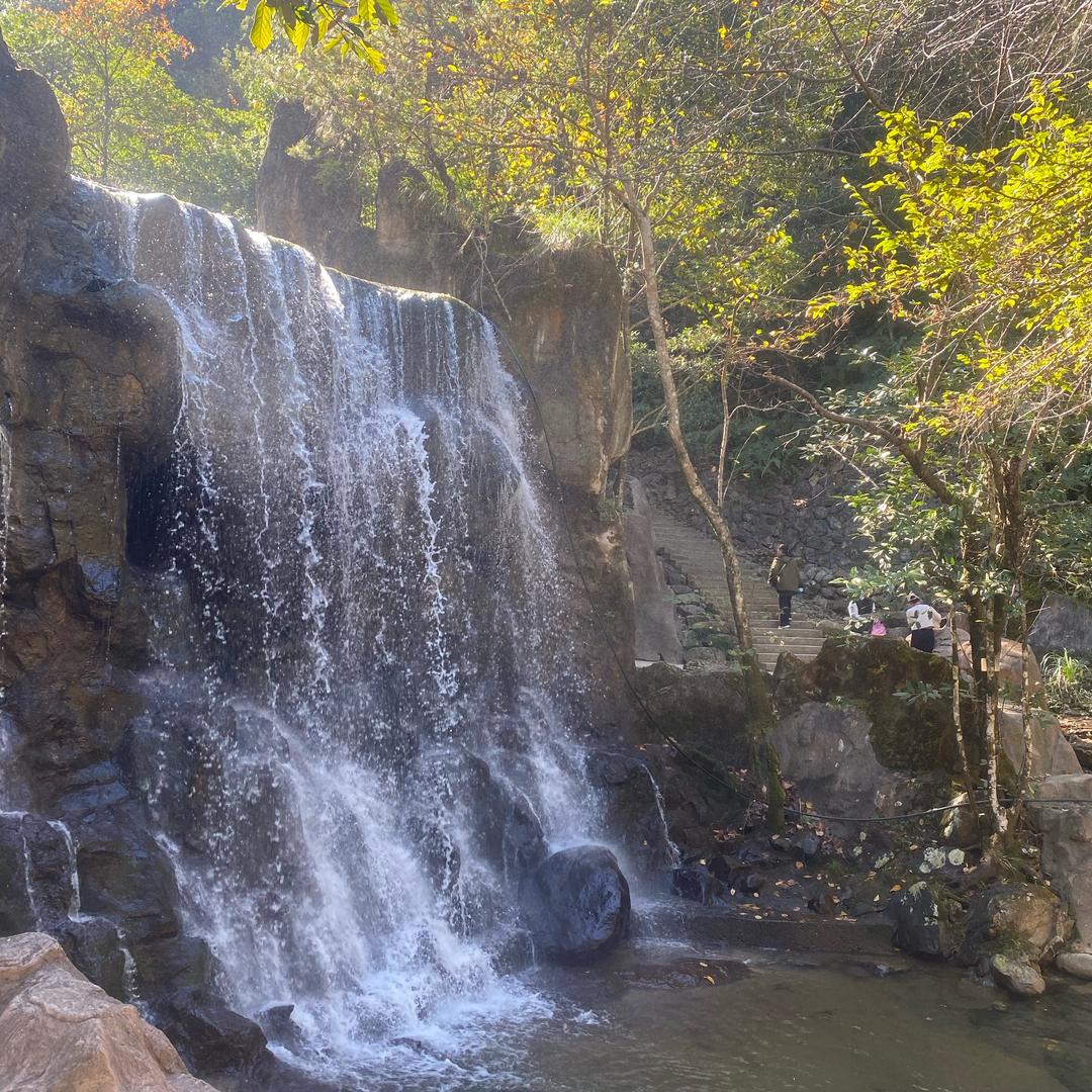 东阳东城驾校寇教练