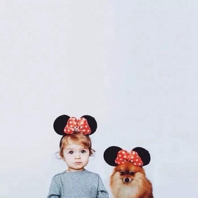 起司🧀️甜茶饼