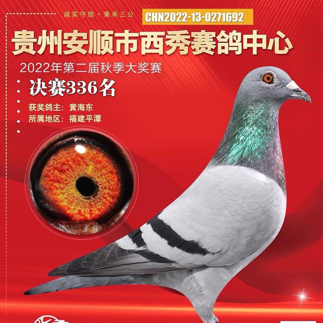 福建宝翔鸽舍