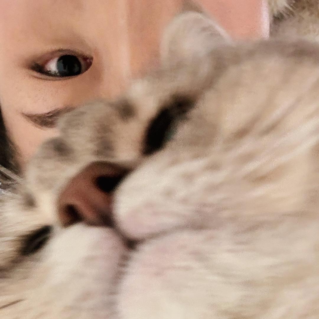 少吃两口