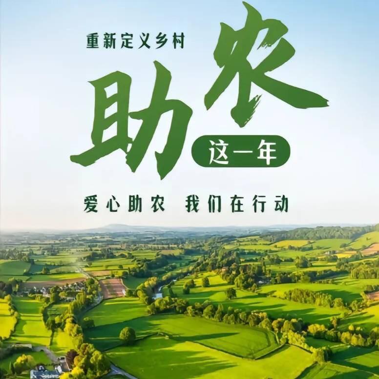 小李爱种菜1