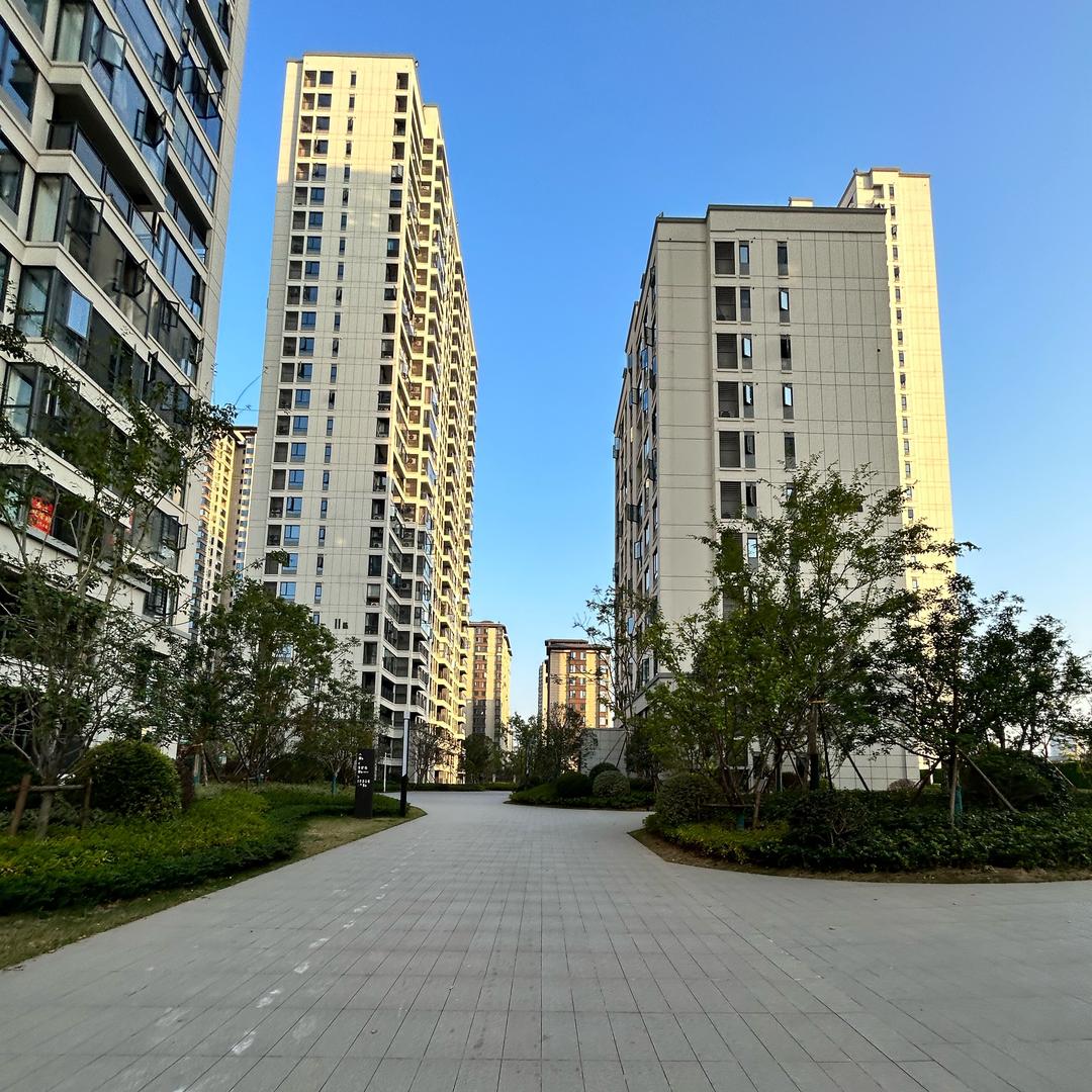 可靠的小苏
