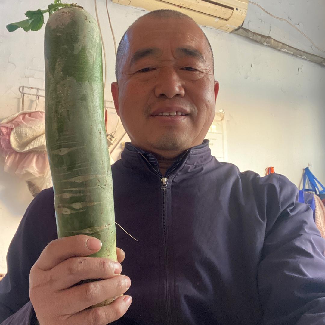 庄老大有机萝卜