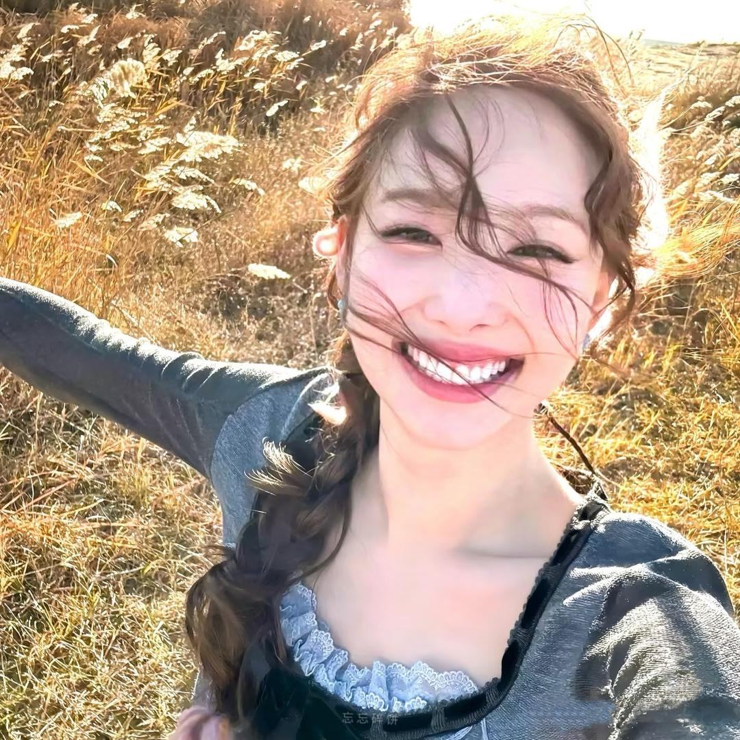 木马向日葵🌻