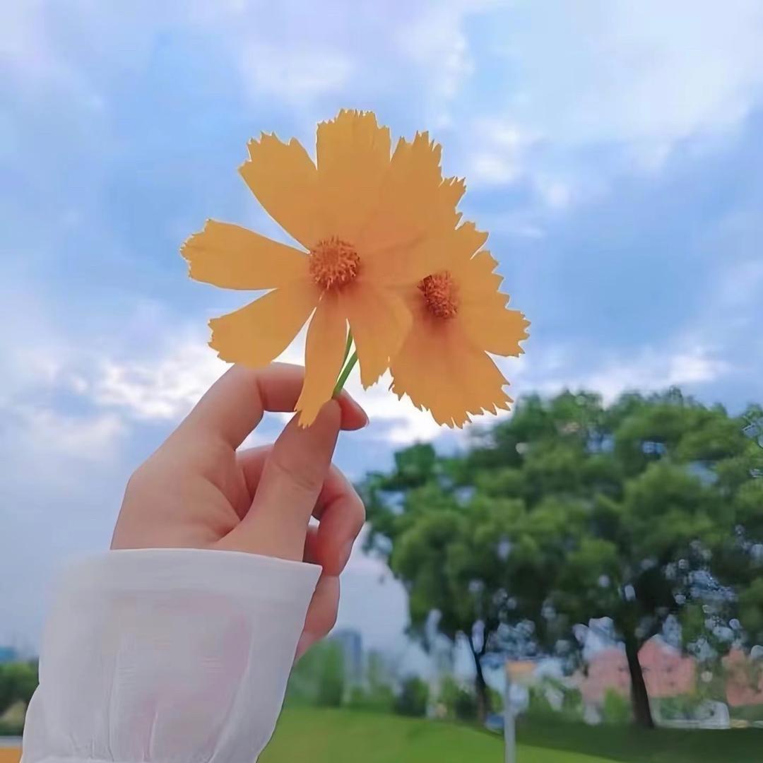 💗ℒℴѵℯ暖心向阳⁵²⁰℘࿐