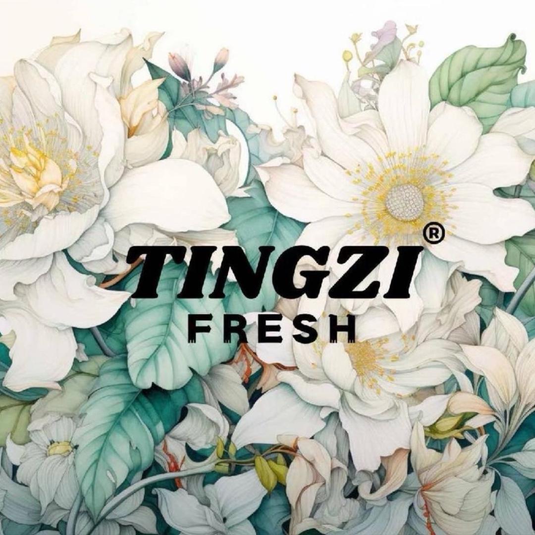婷子TINGZI(杏坛店)