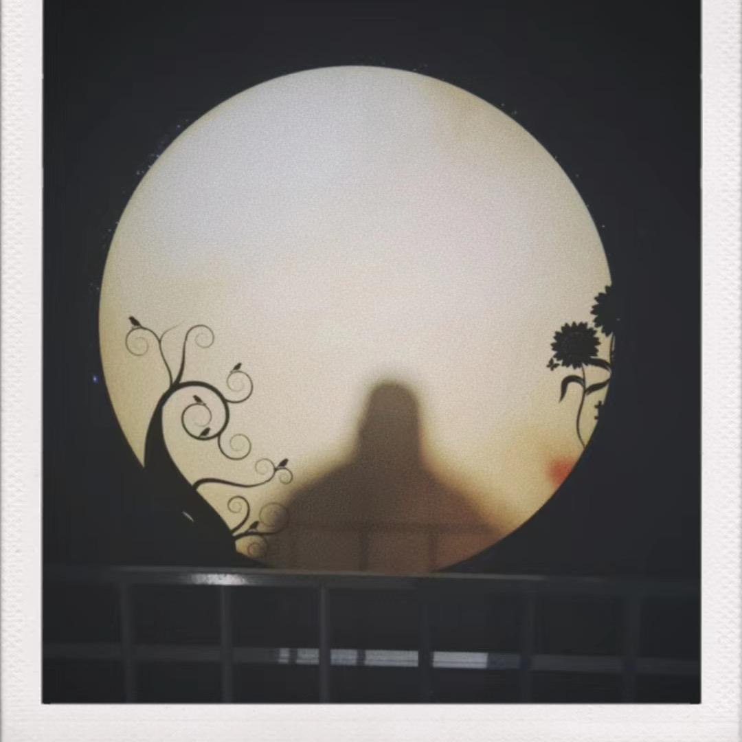 Mr·Zhang
