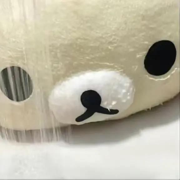 昭狸花雨