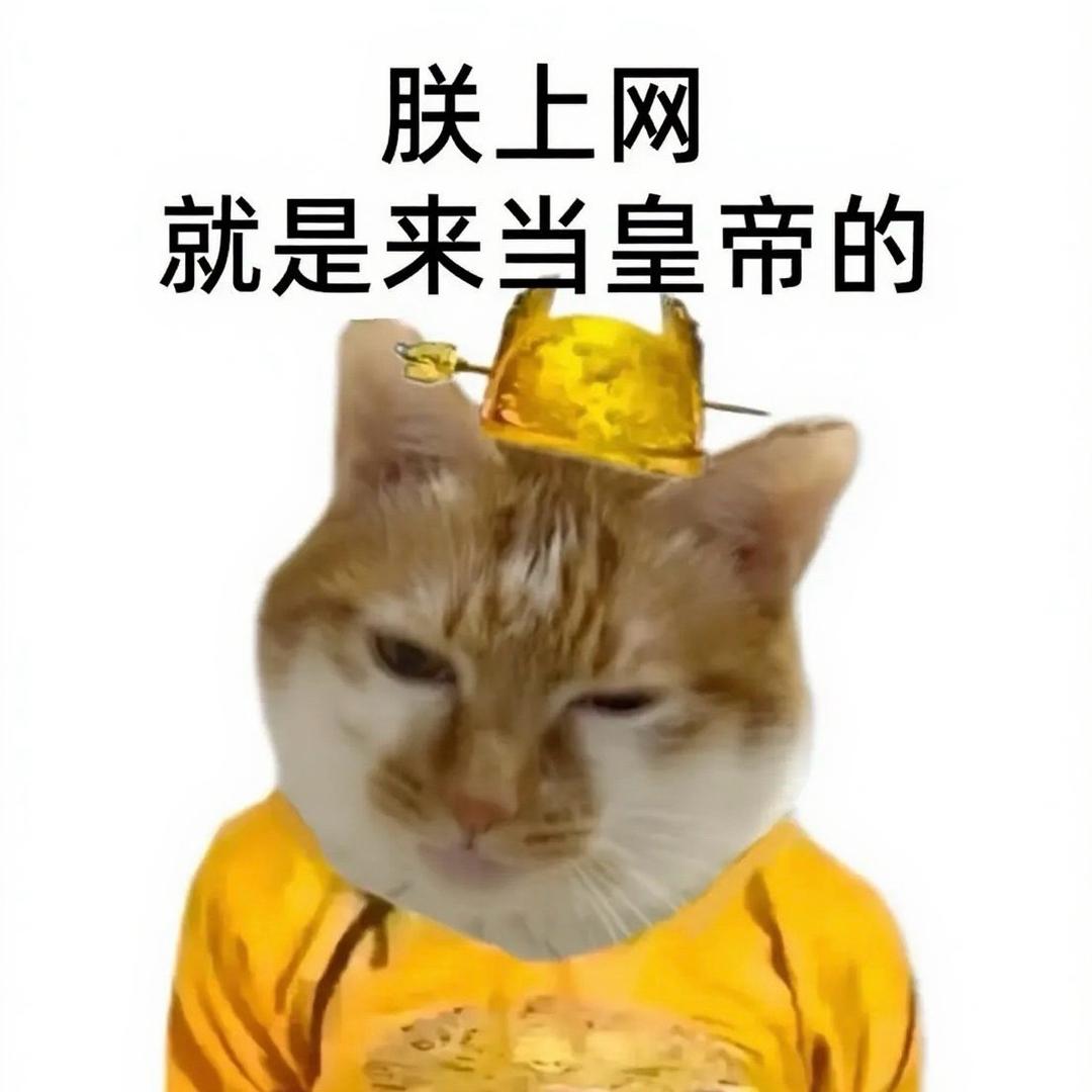 马小肥
