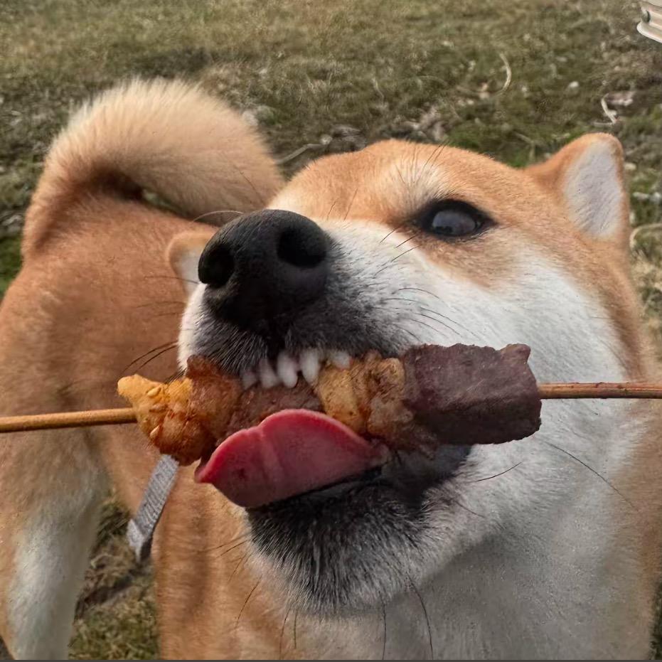 清 清