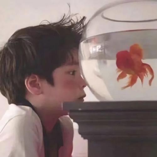 钟婷