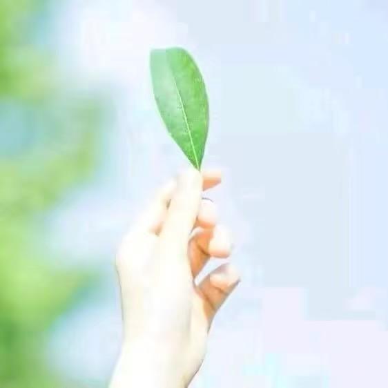 🦋无痕🍃killer