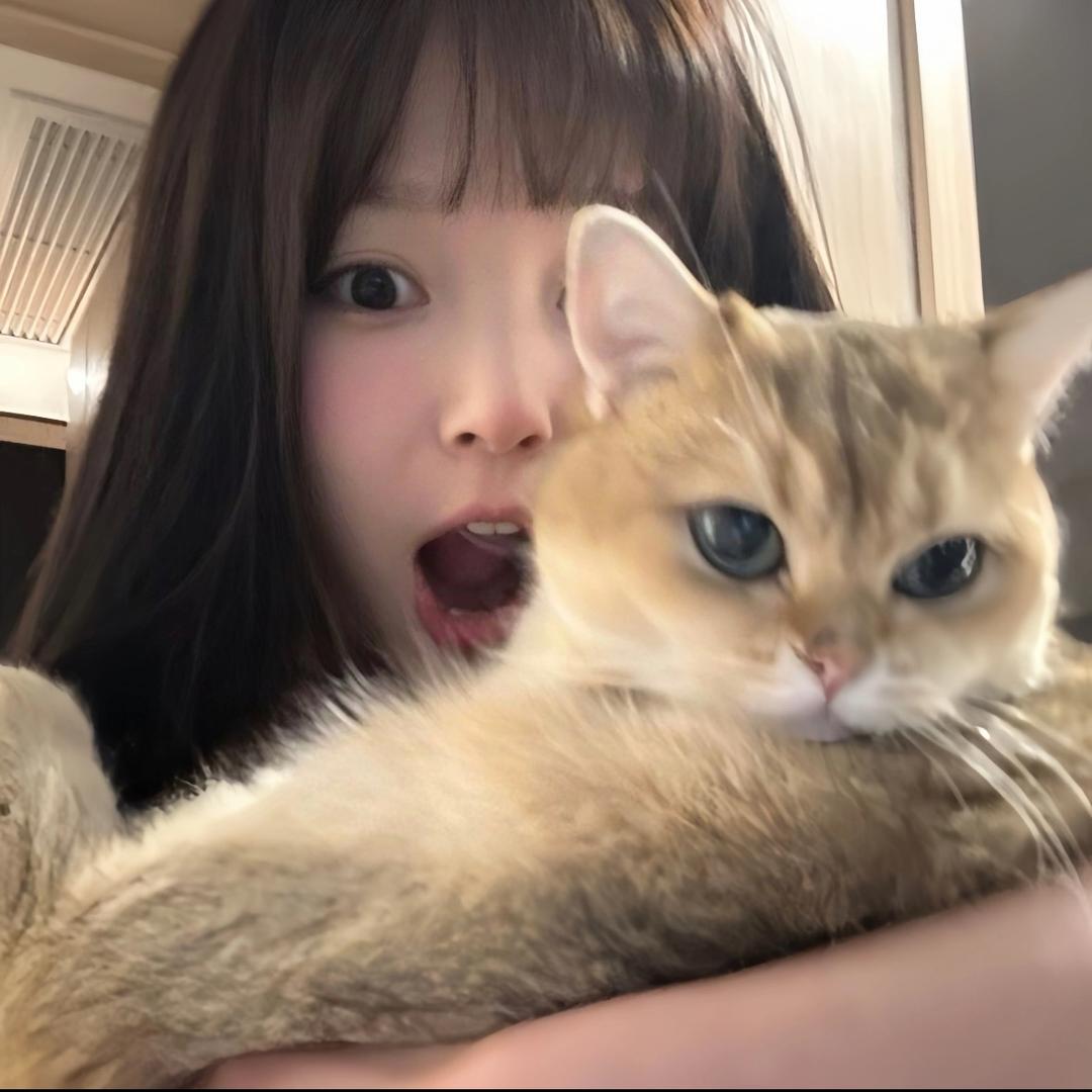 葡萄修猫q