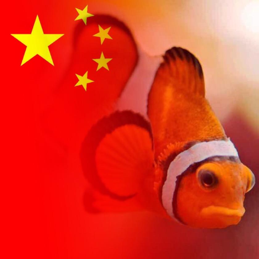 hzy宇哥