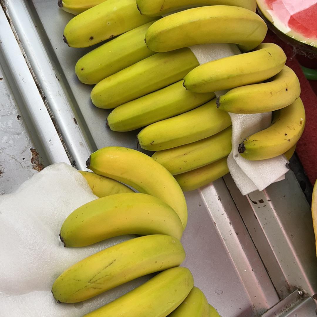 8585
